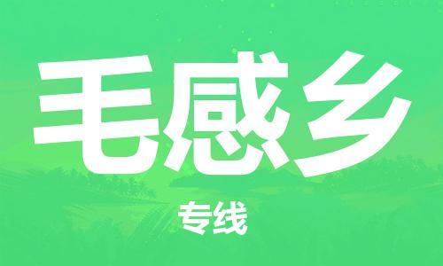 司前鎮(zhèn)到毛感鄉(xiāng)物流專線|司前鎮(zhèn)到毛感鄉(xiāng)危化品運輸電動車托運