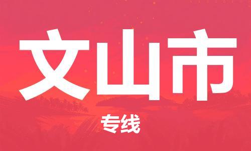 司前鎮(zhèn)到文山市物流專線|司前鎮(zhèn)到文山市?；愤\輸電動車托運